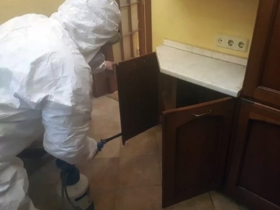 Уничтожение тараканов в квартире
